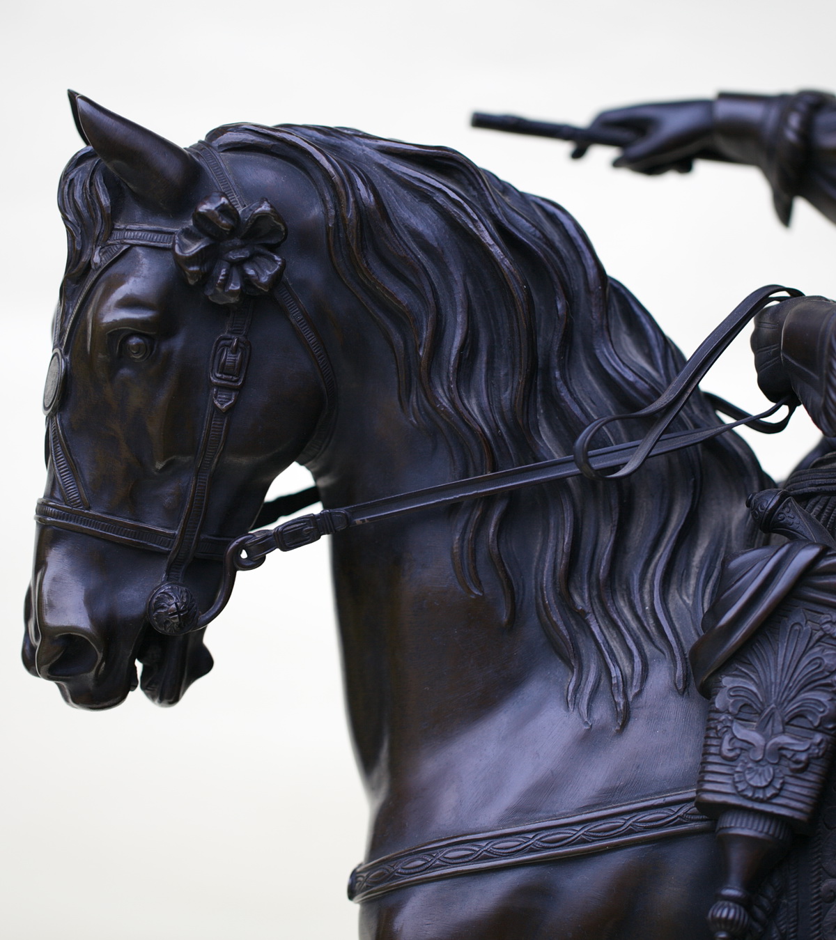 Equestrian Portrait of Louis XIV