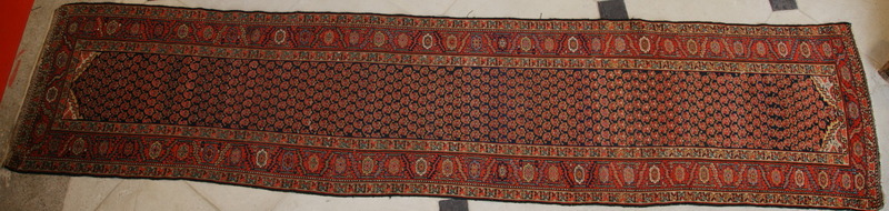 Carpet gallery debut XX