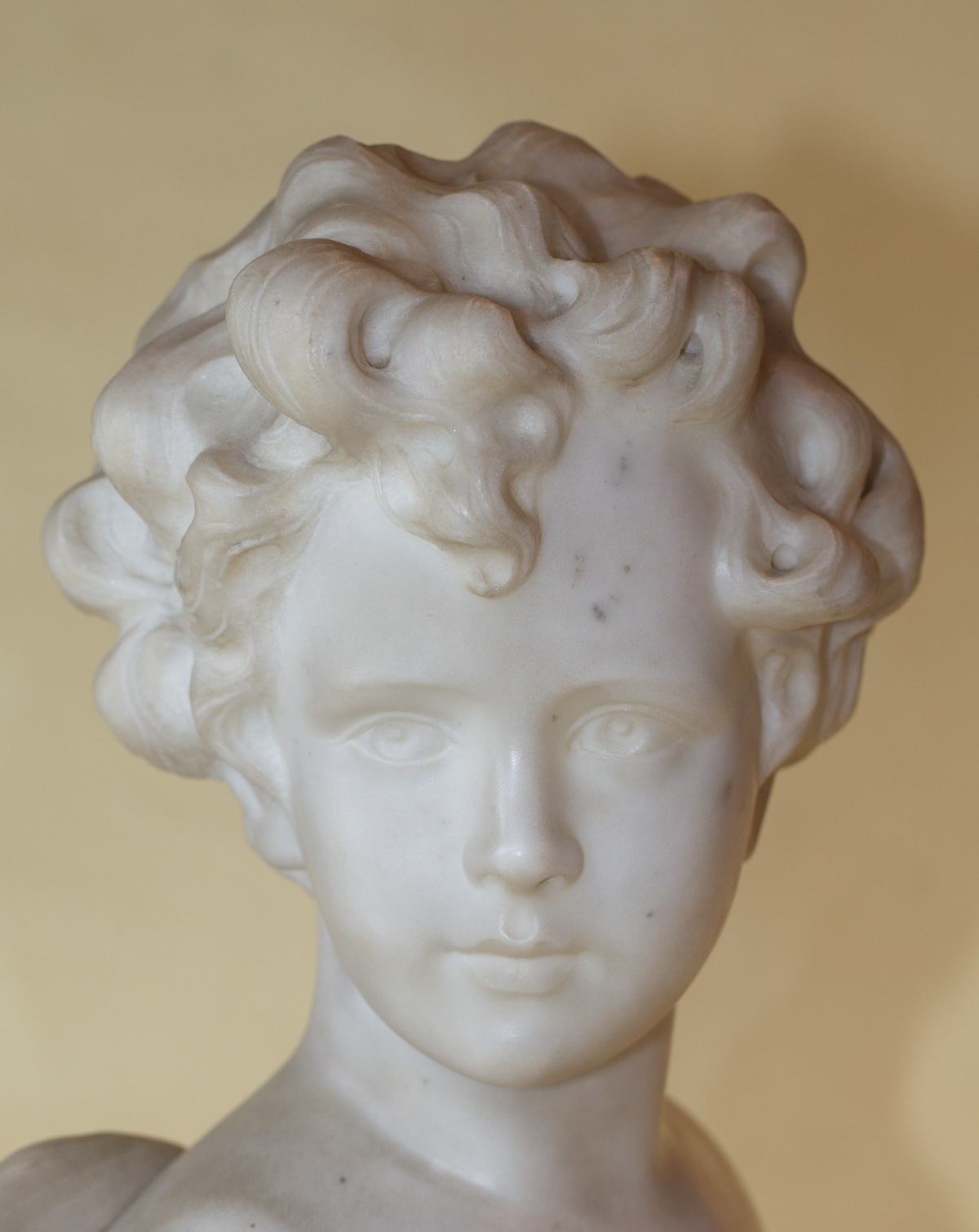 Bust of young man time XIX