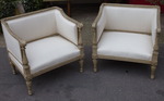 Pair of small armchairs dog 19th