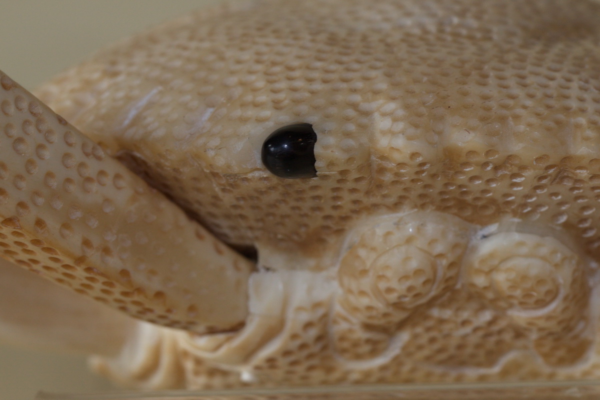 Crabe articulé JAPON début XX