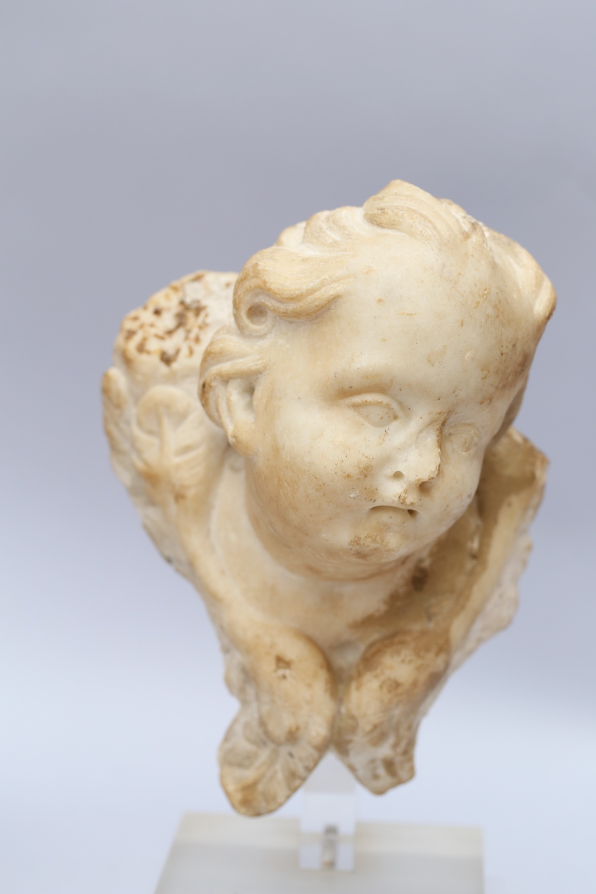 Ecole Italienne XVIII