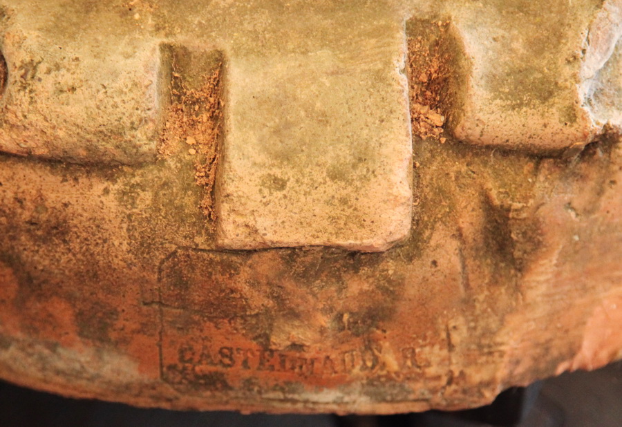 Lions Terre cuite 1880