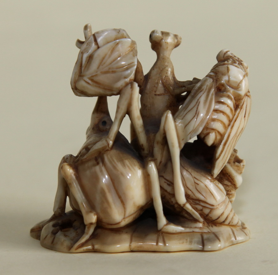 NETSUKE JAPON XIX