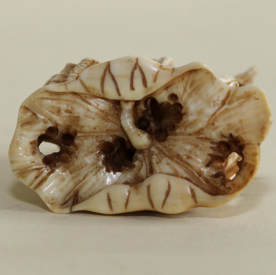NETSUKE JAPON XIX