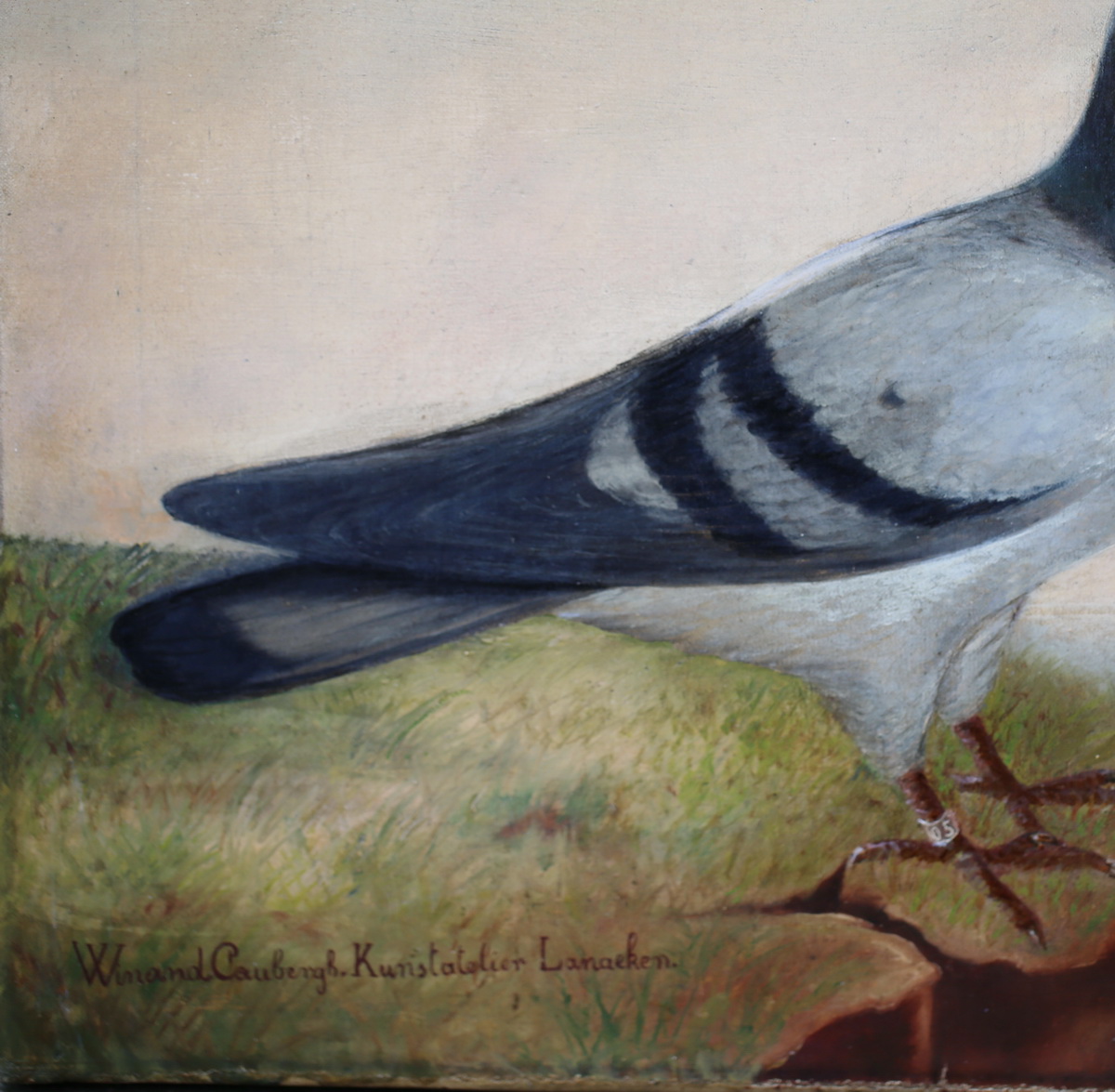 School of the North late nineteenth