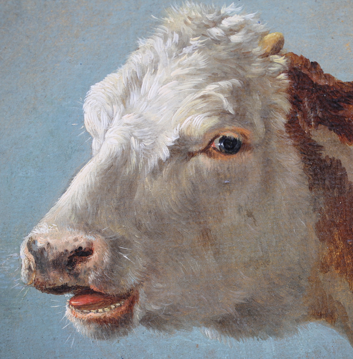 Balthasar Paul OMMEGANCK 17551826