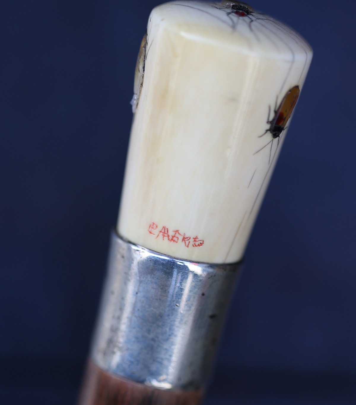Shibayama cane collection