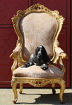 Fauteuil trne, Venise circa 1850