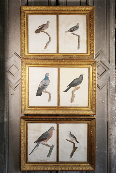 Suite of 6 enhanced engravings