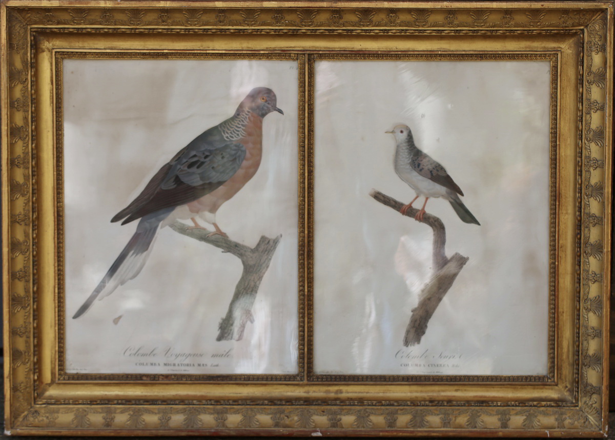 Suite of 6 enhanced engravings