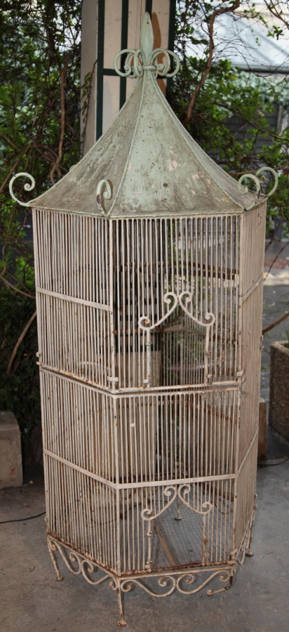 Aviary at the beginning of XX